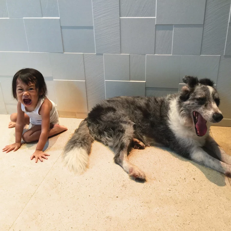 I'll Share a Life by And So I Watch You From Afar